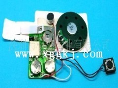 高秒數(shù)錄音IC 語(yǔ)音IC批發(fā) - 門鈴IC - 集成電路(IC) - 電子元器件 - 供應(yīng) - 切它網(wǎng)(QieTa.com)